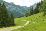 2014-07-05_Laengental-N-Hochweg (291). JPG